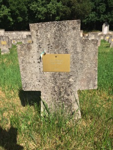 Gabor MESZAROS