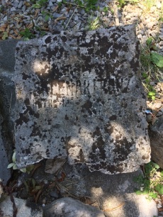 Rudolf HOLZER